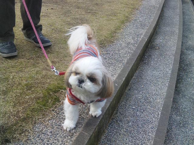 水仙公園　ひま