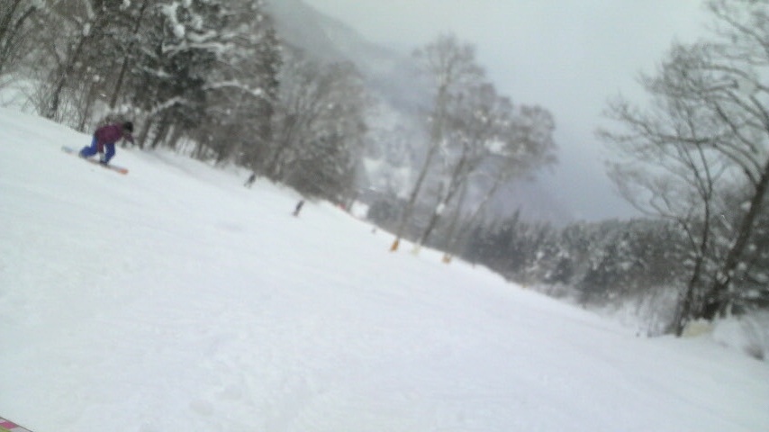 2011012915080000.jpg