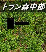 中部