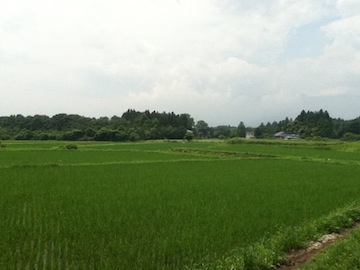 田園風景