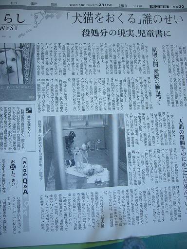 画像 044動物.JPG