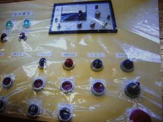 画像 056犬のスイッチ.JPG