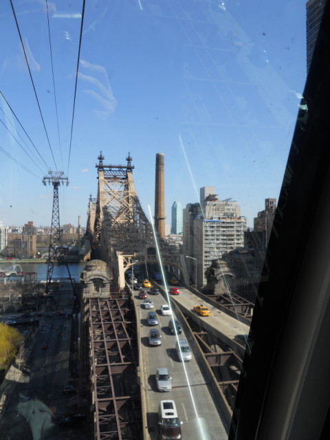 桜で満開のルーズベルト・アイランド My New York Journal 楽天ブログ