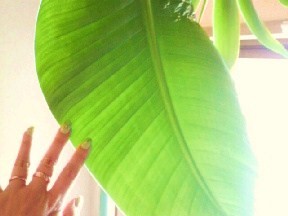 2011040615330000.jpg