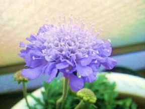2011040614520000.jpg