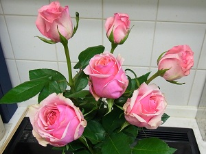 RIMG0016-2.jpg