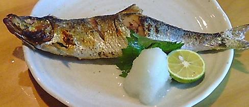 鰊塩焼き