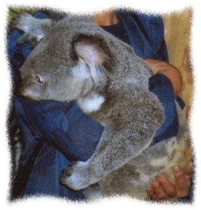 ダダをこねるブリンキー