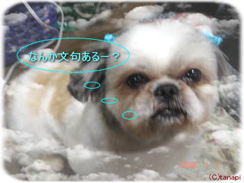 VIVI雄