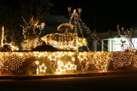 龍郷のイルミネーション
