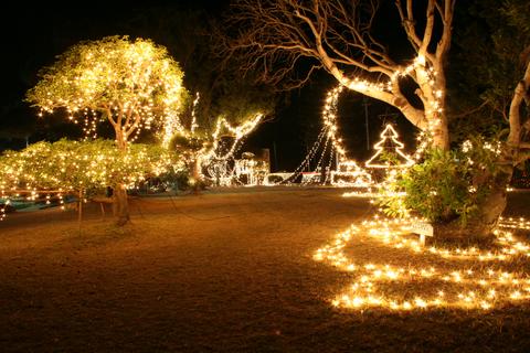 龍郷のイルミネーション２