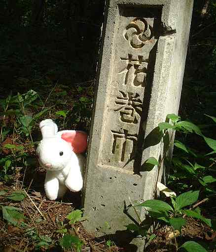 花巻市のうさぎ