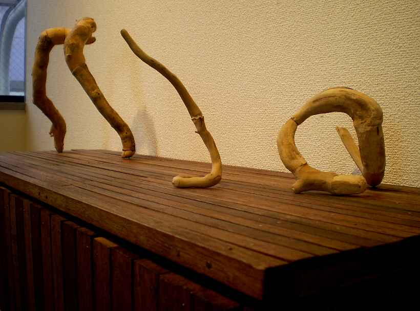 平出ゆめ作品　「ワルツ」　2010