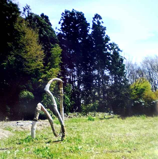 平出ゆめ作品「Natural」 屋外で１