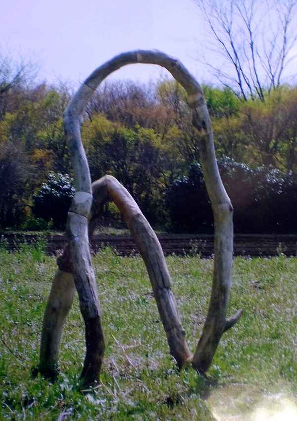 平出ゆめ作品「Natural」 屋外で２