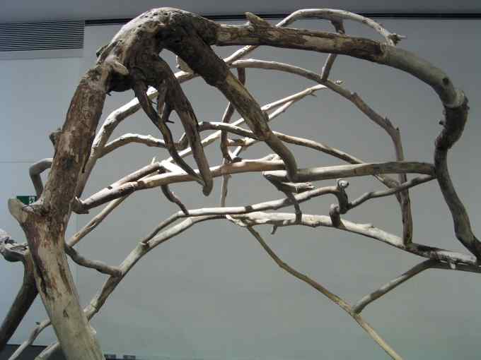 平出ゆめ「わすれもの」2