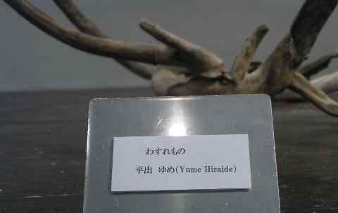 平出ゆめ「わすれもの」6