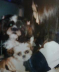 りん＆たま＆やっこ