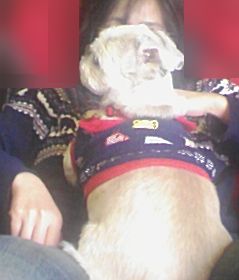 相方にベッタリ