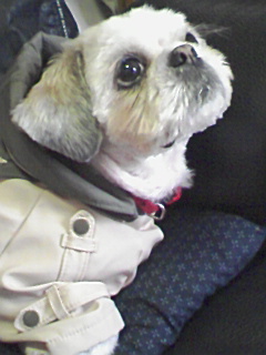 レインコート着用