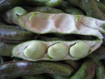 そら豆その2