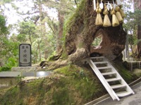 子宝神社 千葉県 Ico日記 楽天ブログ