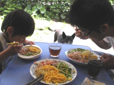 5月19日　冷やし中華