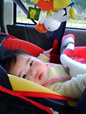 1月6日奏衣車の中