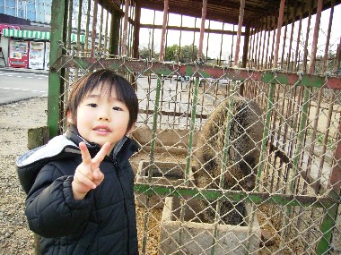 1月8日　いのししと