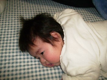 11月23日　うつ伏せ