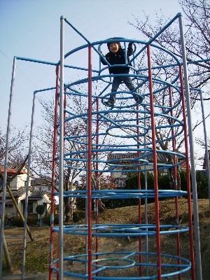 2月6日　ジャングルジム