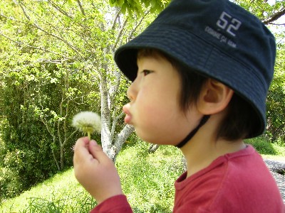 4月29日　散歩恵翔
