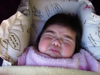 12月3日　散歩中の奏衣