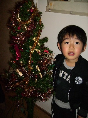 12月5日　クリスマスツリー