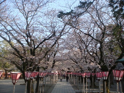 大社の参道