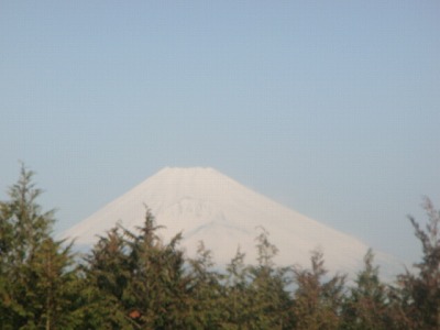 三月の富士山