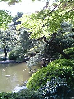 060415_日本庭園.jpg