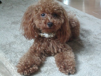 裸で・・いいのに・・・