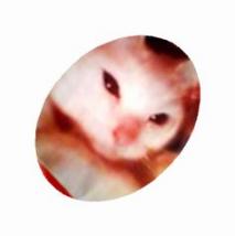 まっしろい雪のような「りん」