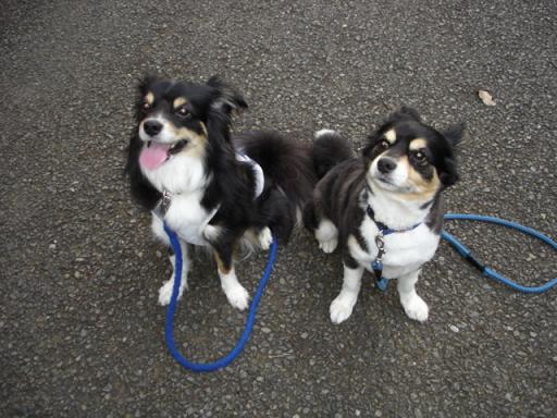 ２ショット　その２