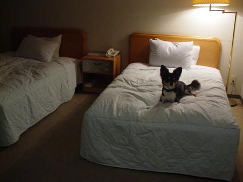 ホテルのお部屋