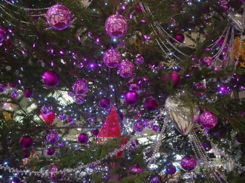 成田のクリスマス。