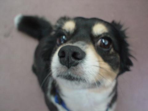 可愛いラッキー☆兄さん（非常勤職員）