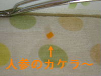 2006_0511画像0024.JPG