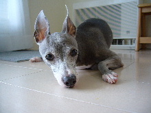 2006_0320画像0003.JPG
