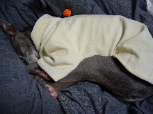 2006_0320画像0004.JPG