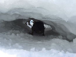 雪のトンネル遊び