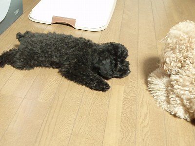 P7070008縮専3.jpg