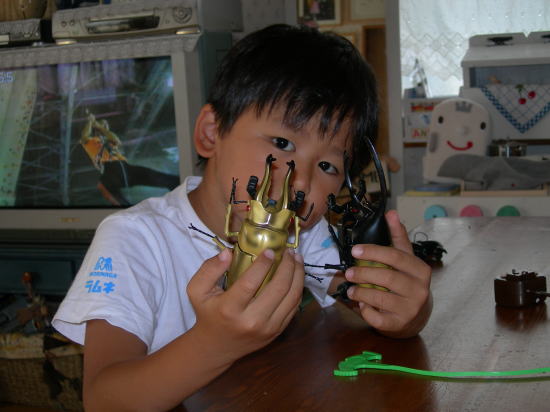 ムシキングに夢中。。。