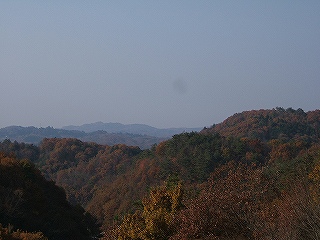 茂木の風景